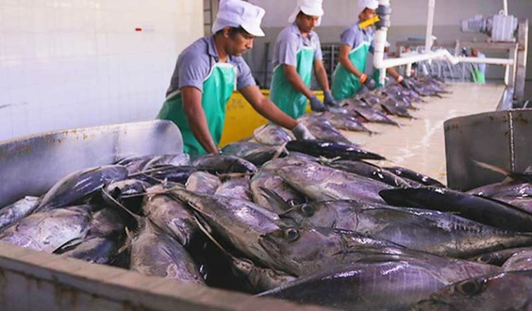 އާރްއެސްޑަބްލިއު ނިޒާމު ހަރުކުރަން ދޫކުރާ ލޯނުގެ ތިންވަނަ ބުރަށް ހުޅުވާލައިފި
