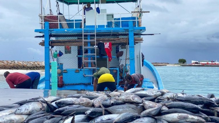 މިފްކޯ އިން ސްވެރިންނަށް 7.65 މިލިއަން ރުފިޔާ ދޫކޮށްފި