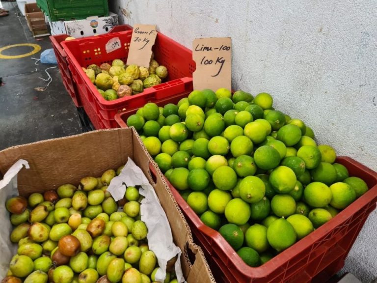 އެސްޓީއޯގެ ލުނބޯ ޝިޕްމަންޓް ރާއްޖެއަށް، ރަމަޟާން މަހަށް ބޭނުންވާ މުދާ ދަތިކަމެއްނެތި ލިބޭނެ