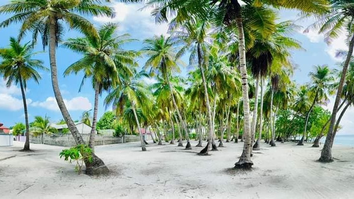 މަގުމަތީގައި ހަމަނުޖެހުން ހިންގި ކުއްޖަކަށް، ފުލުހަކު އަނިޔާކުރި ކަމަށް ތުހުމަތުކުރާ މައްސަލަ ބަލަނީ