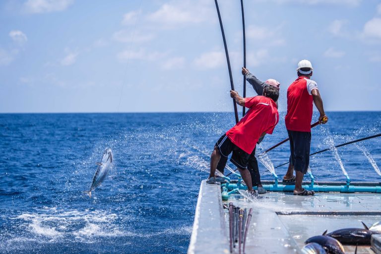 މަސްވެރިންގެ ދުވަހުގެ ރަސްމީ އިހްތިފާލްތައް ބޭއްވުމަށް ބޭނުންވާ ރަށްތަކުން އެކަމަށް އެދި ހުށަހެޅުމުގެ ފުރުސަތު ހުޅުވާލައިފި