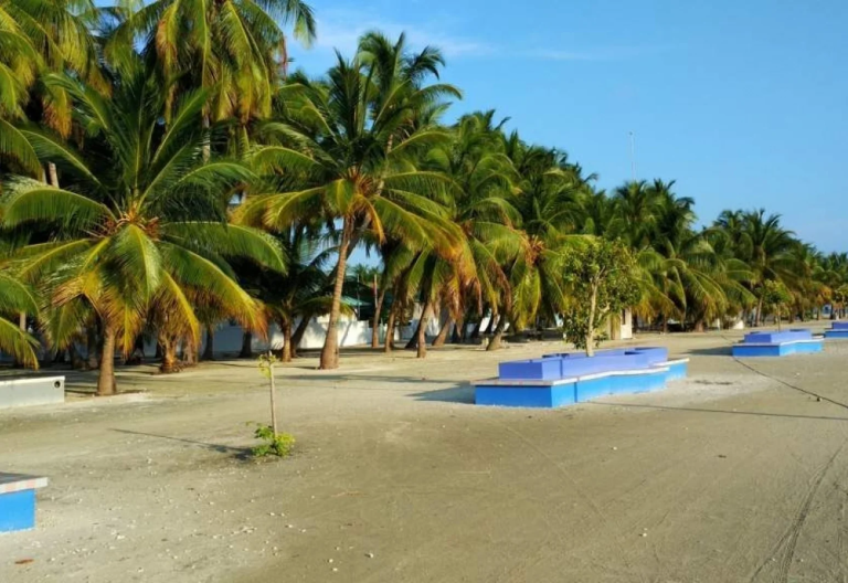 މަތިވެރީގައި ގުރުއާން ހިތުދަސްކޮށް ހާފިޒުކަމުގެ ސަނަދު ހޯދާ ކޮންމެ ކުއްޖަކަށް 50،000 ރުފިޔާގެ އިނާމެއްދޭން ނިންމައިފި