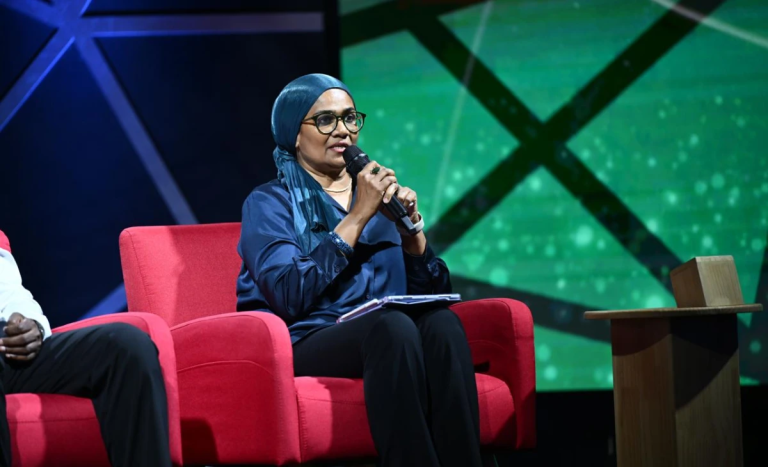 ސަން ޓްރެވަލްސްއަށް ދޫކޮށްފައިވާ މިނާވަރާއި އުއްދޫ އަތުލީ އުސޫލުގެ ދަށުން: ވަޒީރު