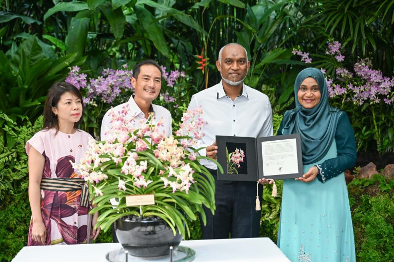 ރައީސްގެ ދެކަނބަލުންގެ ނަންފުޅަށް ނިސްބަތްކޮށް ސިންގަޕޫރުގައި އޯކިޑް ގަހަކަށް ނަން ދީފި