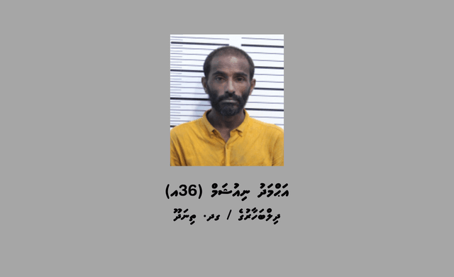 އިމިގްރޭޝަން ގުދަނުން ވައްކަންކޮށްފައިވާކަމުގެ ތުހުމަތުގައި މީހަކު ހައްޔަރުކޮށްފި