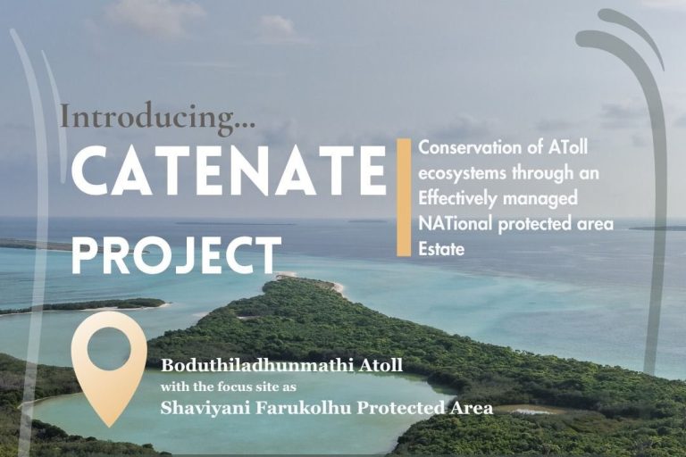 ކެޓެނޭޓް މަޝްރޫޢުން ދިވެހިރާއްޖޭގެ މުރަކަތައް ރައްކާތެރިކުރުމަށް މަސައްކަތް ފަށައިފި