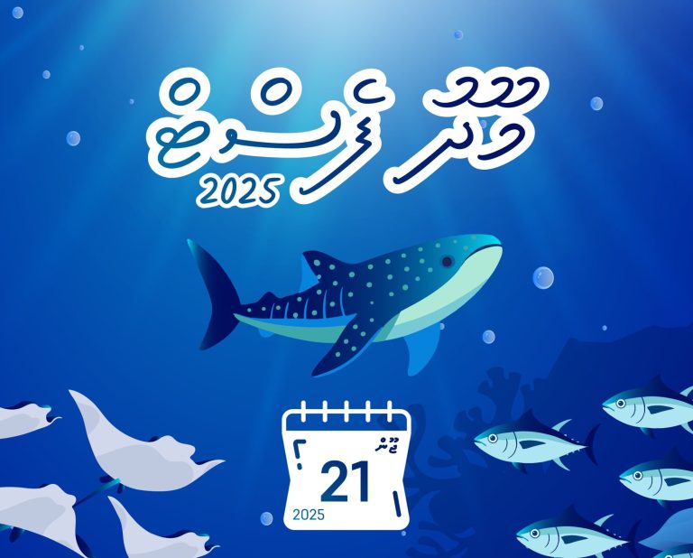 ކަނޑުތަކުގެ ދުވަސް ފާހަގަކުރުމަށް ގިނަ ހަރަކާތްތަކެއް ކުރިއަށްގެންދިޔުމަށް ރާވައިފި