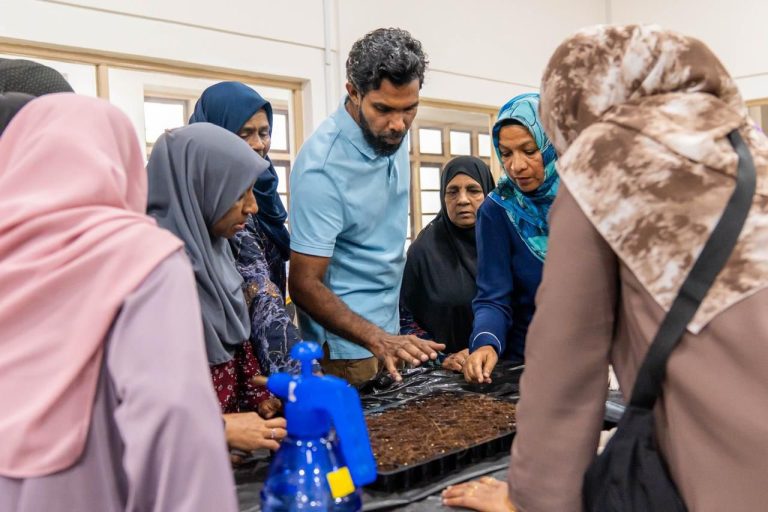 އިސްރަށްވެހިންނަށް ގަސްއިންދަން ދަސްކޮށްދިނުމުގެ ޕްރޮގްރާމެއް ފަށައިފި