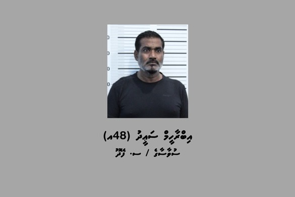 ބިދޭސީއަކު ރަހީނުކޮށްގެން ގެންގުޅުނު މީހަކު ހައްޔަރުކޮށް ވަނަވަރު ހާމަކޮށްފި