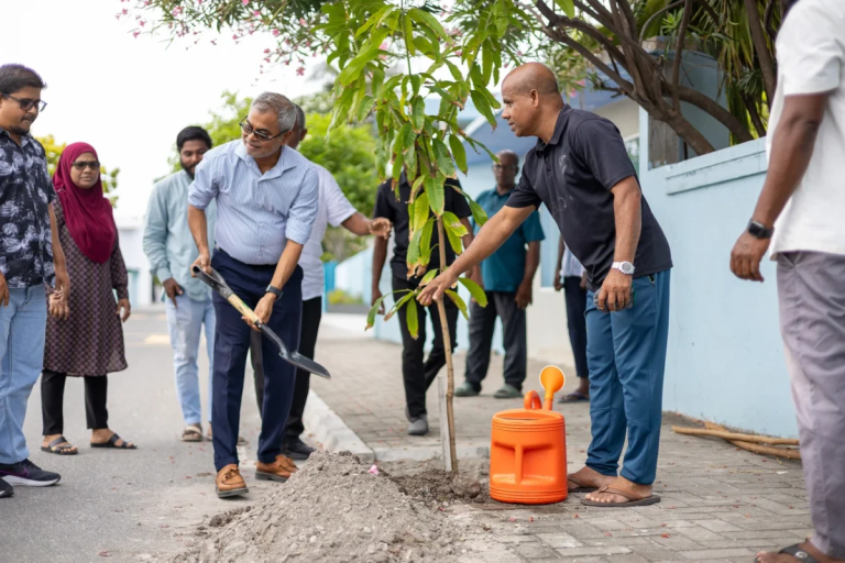 5 މިލިއަން ގަސް އިންދުމުގެ ޕްރޮގްރާމުގެ ދަށުން ކުޑަހުވަދޫގައި 44 ގަސް އިންދައިފި