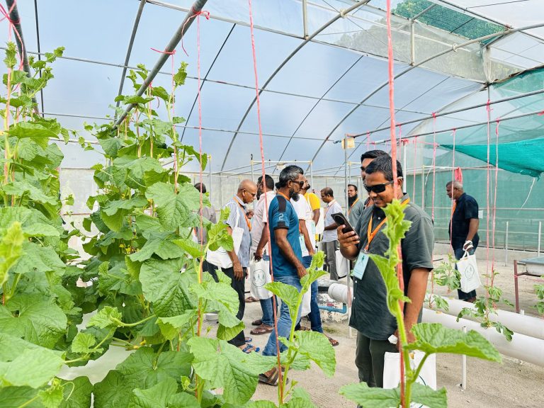 ހަނިމާދޫގައި އިސް ދަނޑުވެރިންގެ ތަމްރީނުތައް ފަށައިފި