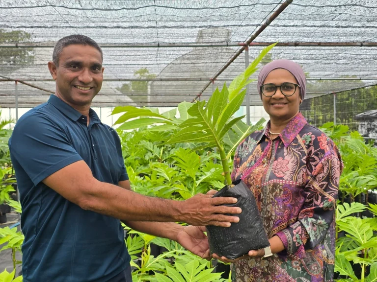 ފުޑް ސެކިއުރިޓީ ޕްރޮގްރާމްގެ ދަށުން ށ އަތޮޅުގެ 4 ރަށަކަށް، ހާހަކަށްވުރެ ގިނަ ގަސް ހަދިޔާކޮށްފި