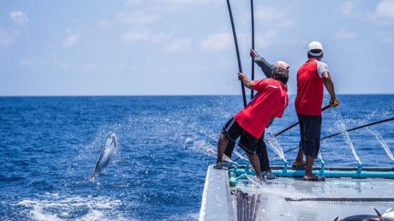 ދެން މަސްވެރިކަމުގެ ލައިސެންސްއަށް އެދި ހުށަހެޅޭނީ "ކެޔޮޅު ވެބް-ޕޯޓަލް" މެދުވެރިކޮށް