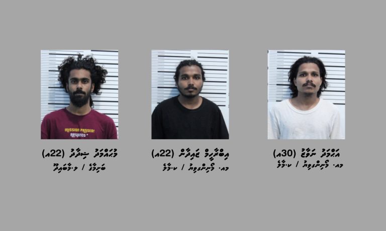 ހެންވޭރު ގެއަކުން ތޫނު ހަތިޔާރު ހޯދައި 3 މީހަކު ފުލުހުންގެ ބެލުމުގެ ދަށަށް ގެންގޮސްފި
