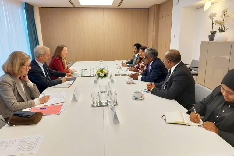 ޑިމޮކްރަސީ އަދި ދެމެހެއްޓެނިވި ތަރައްޤީގައި ރާއްޖެއިން ސާބިތުކަމާއެކު ދެމިއޮންނާ!
