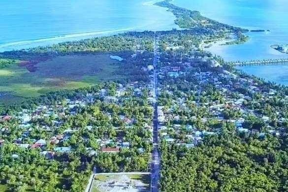 ހުޅުދޫ އާއި މީދޫ އައްޑޫ ސިޓީ ކައުންސިލުން ވަކިކޮށްފި