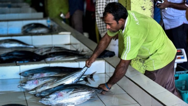 މަސްވެރިންގެ ދުވަސް ފާހަގަކުރާ ރަށަކަށް ވުމަށް ކުރިމަތިލުމުގެ މުއްދަތު އިތުރުކޮށްފި