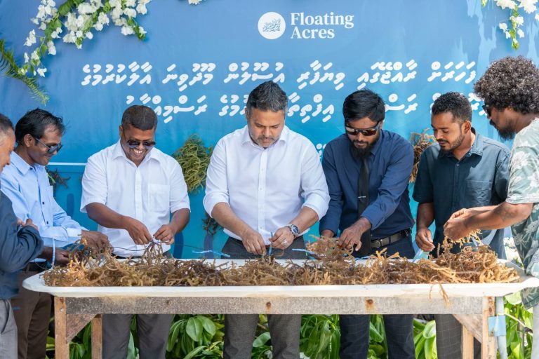 ރާއްޖޭގައި ވިޔަފާރި އުސޫލުން އާލާކުރި މޫދު ވިނަ ފުރަތަމަ ފަހަަރަށް އެކްސްޕޯޓު ކުރަން ތައްޔާރުވެއްޖެ