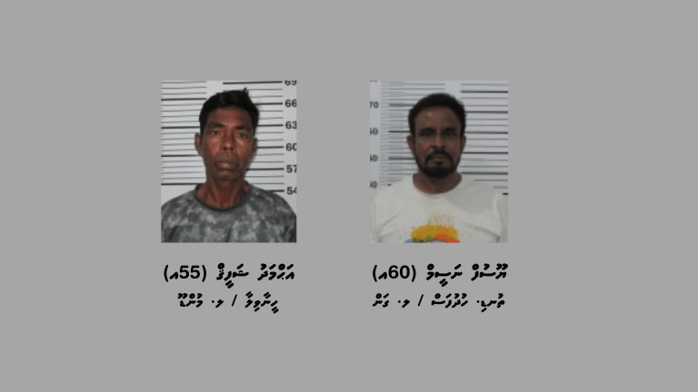 މަސްތުވާތަކެއްޗާއެކު ލ. އަތޮޅުން ދެމީހަކު ހައްޔަރުކޮށްފި