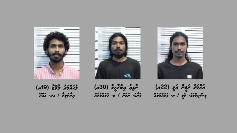 ފުލުހުންގެ ދައުރު އަދާކުރުމަށް ހުރަސް އަޅައި މާރާމާރީ ހިންގި މައްސަލައެއްގައި ތިން މީހަކު ހައްޔަރުކޮށްފި