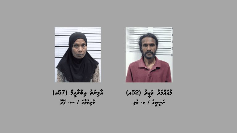 ޑްރަގް ވިޔަފާރިކުރާކަމުގެ ތުހުމަތުގައި ހުޅުމާލެއިން ދެ މީހަކު ހައްޔަރުކޮށްފި
