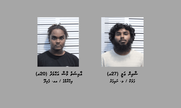 3 ކިލޯއަށްވުރެ ގިނަ މަސްތުވާތަކެއްޗާއެކު 2 މީހަކު ހައްޔަރުކޮށްފި