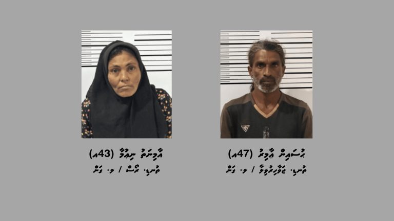 މަސްތުވާތަކެތީގެ މައްސަލައެއްގައި ލ. ގަމުން ދެމީހަކު ހައްޔަރުކޮށްފި