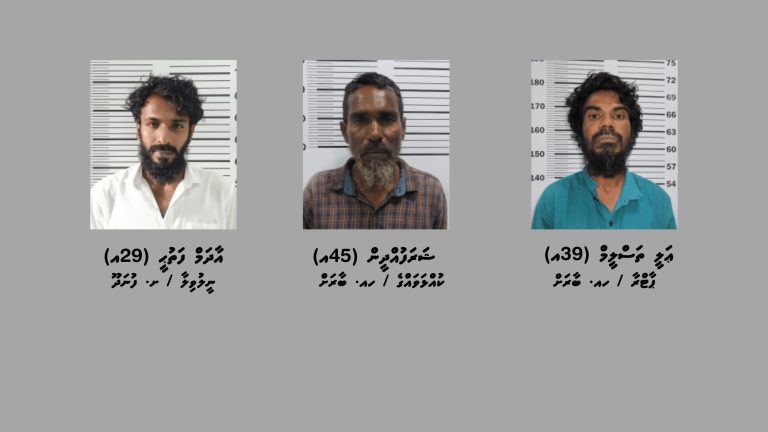 ޑްރަގާއެކު ބާރަށުން ދެ މީހަކު އަދި ފުނަދޫން މީހަކު ހައްޔަރުކޮށްފި