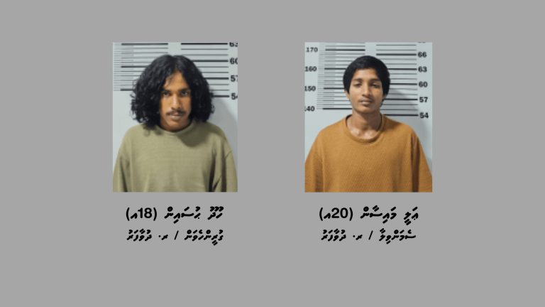 ޑްރަގް ބޭނުންކޮށް ވިއްކާކަމުގެ ތުހުމަތުގައި ދުވާފަރުން ދެ ޒުވާނަކު ހައްޔަރުކޮށްފި