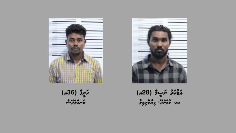 ތިން ކިލޯއަށްވުރެ ގިނަ މަސްތުވާތަކެތި ހޯދައި ދެ މީހަކު ހައްޔަރުކޮށްފި