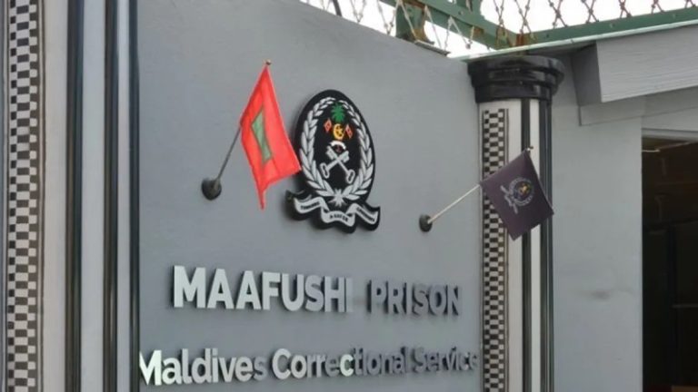 ކަރެކްޝަންސްގެ "މައި އެމްސީއެސް ޕޯޓަލް" މާދަމާ ހުޅުވާލަނީ