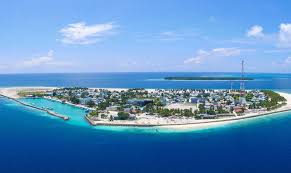 އޭދަފުށި އެކްސިޑެންޓް: ޕިކަޕް ޑްރައިވަރުގެ ބަންދުގެ މުއްދަތު 15 ދުވަހަށް އިތުރުކޮށްފި