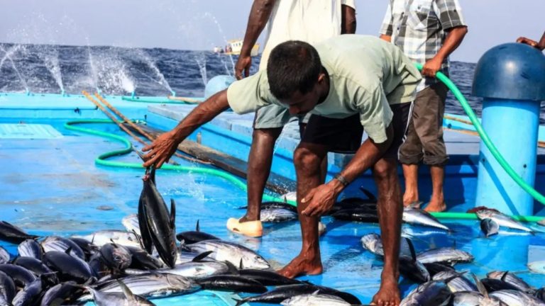 89 މަސްވެރިއަކަށް ލޯނު ދޫކޮށްފި