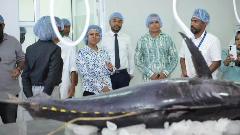 "އައްޑޫ ފިޝް ޕްރޮސެސިންގ ފެސިލިޓީ" ހުޅުވައިފި