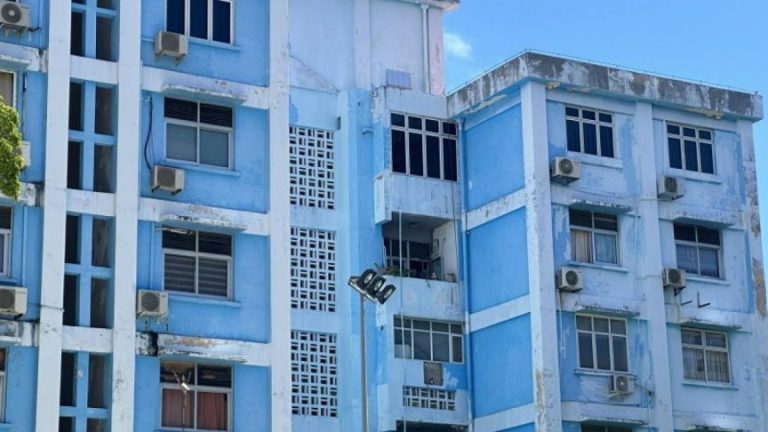 މާލެހިޔާ ފްލެޓްތަކުގެ މަރާމާތަށް ބަޔަކު ހޯދަނީ