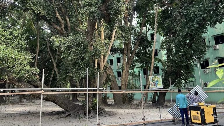 ވިލިމާލޭ ފުނަވަލުގެ ގަސްތައް ކެނޑުން ހުއްޓުވަން ސުޕްރީމް ކޯޓަށް