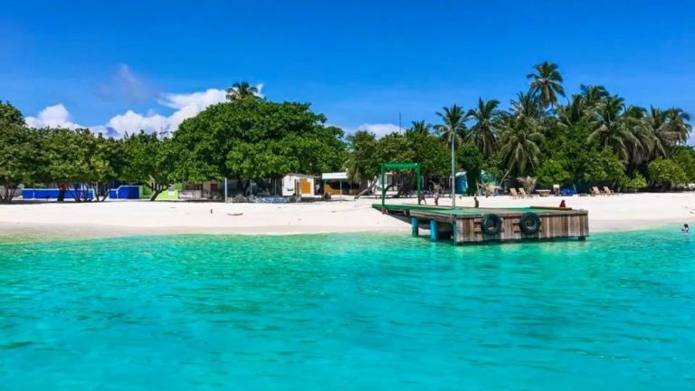 އޮޔާ ދިޔަ ކުދިންތަކެއް ސަލާމަތްކުރަން އުޅުނު މީހަކު ނިޔާވެއްޖެ