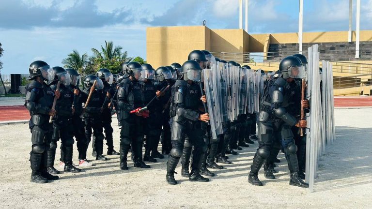 ފުލުހުންގެ ތަމްރީން