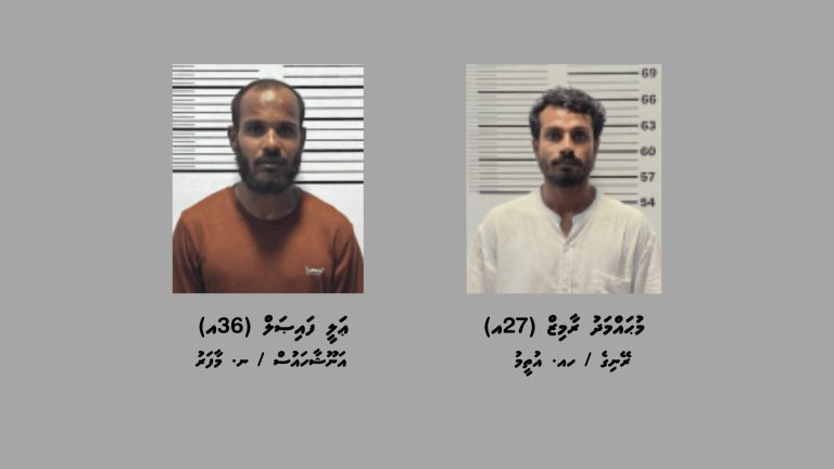 މަސްތުވާތަކެއްޗާއެކު ދެމީހަކު ހައްޔަރުކޮށްފި