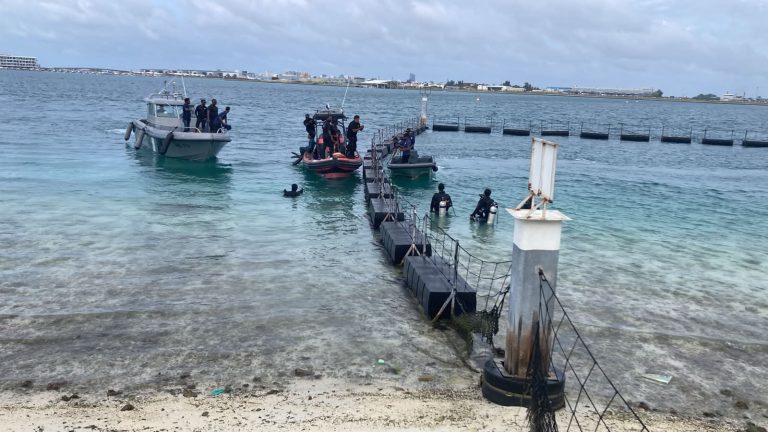 އެމްއެންޑީއެގް އިން މީހާ ހޯދުމުގެ މަސައްކަތުގެ ތެރެއިން---