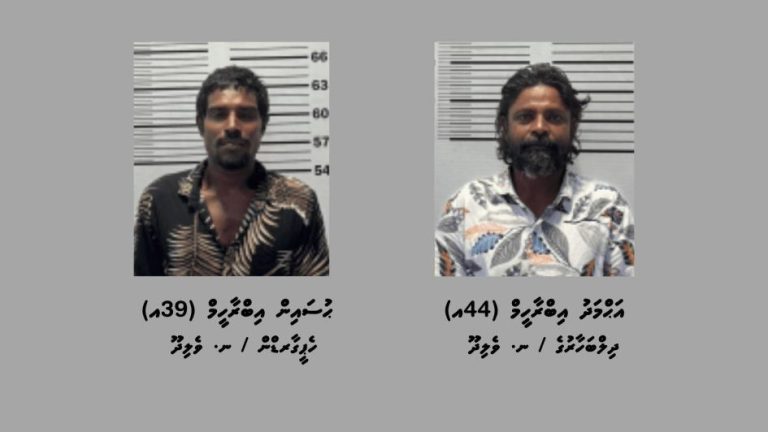 ޑައިމޯފިން ޓްރެފިކްކުރުމުގެ ކުށް ސާބިތުވެ، ދެމީހަކު ޖަލަށްލުމަށް ހުކުމްކޮށްފި