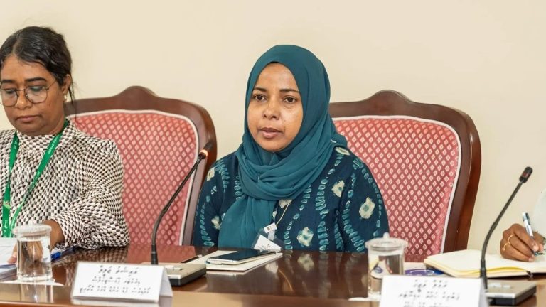 އޭޑީއެޗްޑީ ބޭސް އެތެރެކުރުމުގެ ހުއްދަ ދޭން ސަރުކާރުން ނިންމައިފި