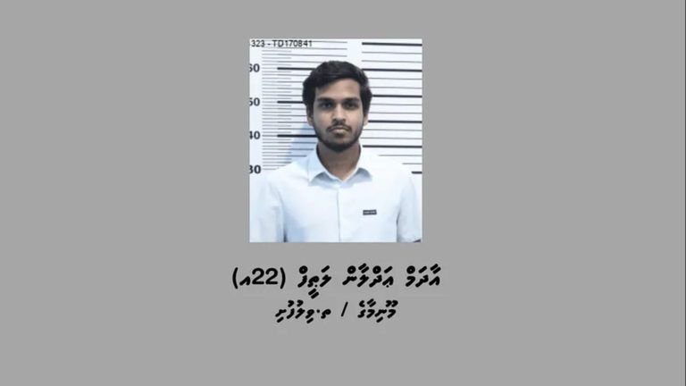 ކުޑަކުދިންނަށް ޖިންސީ ގޯނާކުރާ ގޯނާކުރާ ވީޑިއޯ ވިއްކާކަމުގެ ތުހުމަތުގައި ހައްޔަރުކުރި މީހާ ދޫކޮށްލައިފި