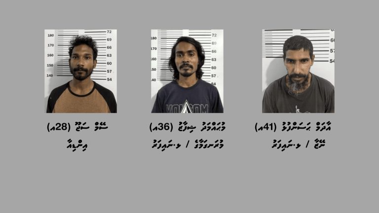 މަސްތުވާތަކެތީގެ މައްސަލައެއްގައި ނައިފަރުން ތިން މީހުން ހައްޔަރުކޮށްފި