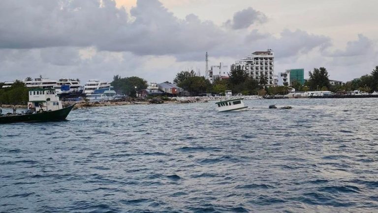 އުޅަނދެއްގެ ބައެއް ތަކެތި އޮޔާ ދާތީ ސަމާލުވާން އެދިއްޖެ