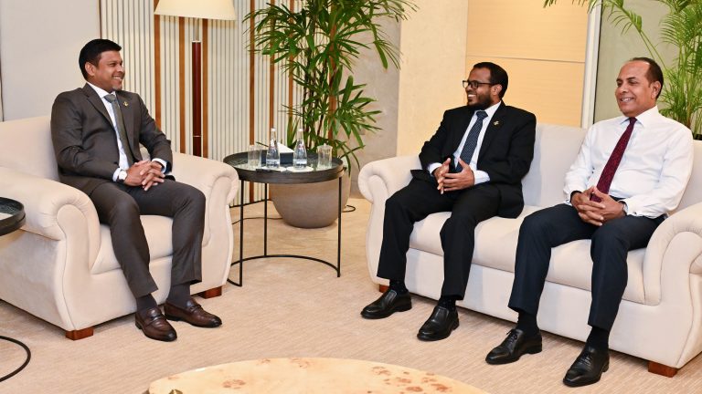 ބަރލިން ކްލައިމެޓް މޮބިލިޓީ ފޯރަމްގައި ބައިވެރިވެވަޑައިގަތުމަށް ނައިބު ރައީސް ޖަރުމަނަށް