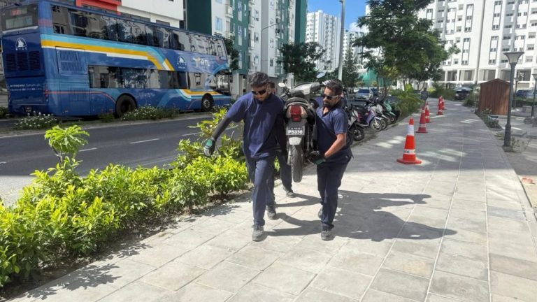 ދުވާރުގައި ޕާކުކުރާ އުޅަނދުތައް ފުލުހުން ޓޯވކުރަން ފަށައިފި