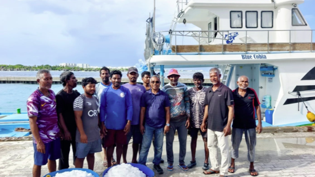 ކަނޑުއޮތްގިރިން މަސްވެރިންނަށް އައިސް ވިއްކަން ފަށައިފި: މާލެ ސަރަޙައްދުގެ މަސްވެރިންނަށް ބޮޑު ލުޔެއް