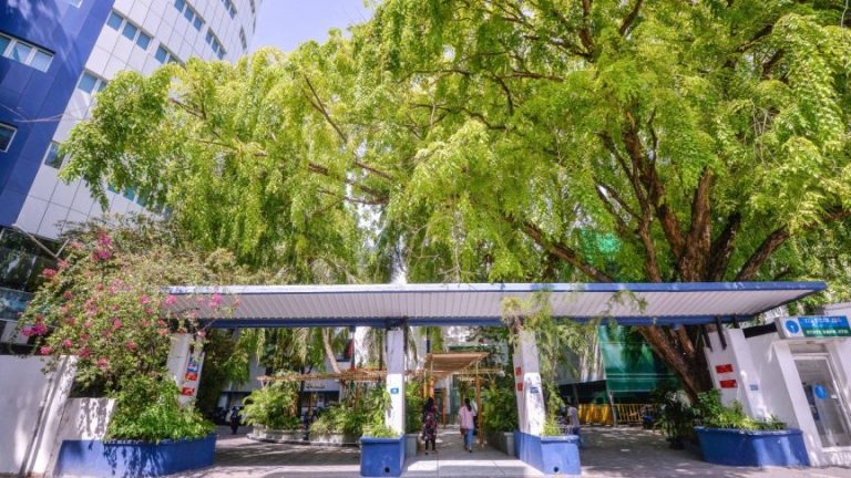 49 އަހަރުން ދަށުގެ މީހުންނަށް އެމްއާރު ވެކްސިން ޖެހުމުގެ ފުރުސަތު ހުޅުވާލައިފި