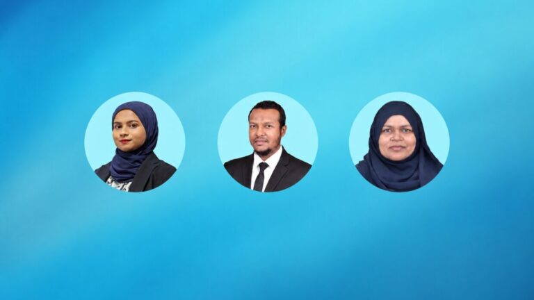 ސަރުކާރު ކުންފުނިތަކުގެ ބޯޑަށް އައްޔަން ކުރި ބޭފުޅުން